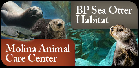 2010 Exhibits