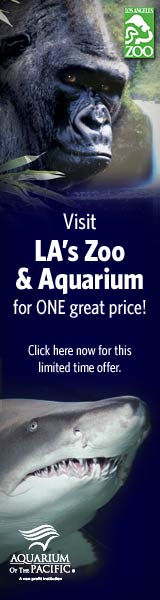 LA Zoo Combo