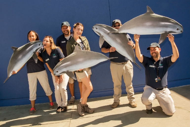 Aquarium staff holding vaquita cutouts