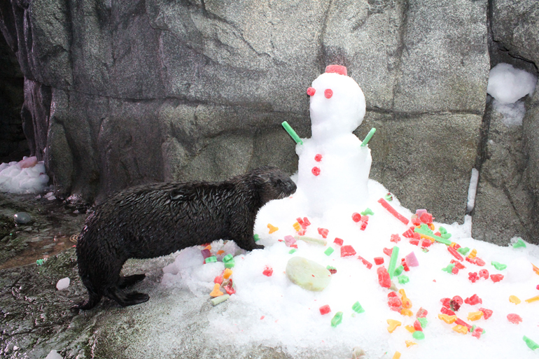 Betty the otter next to a snowman