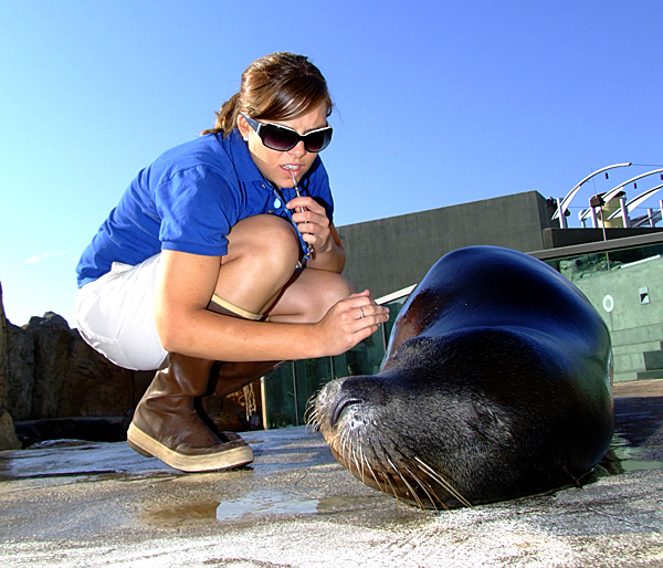 Trainer with whistle and Parker the sea lion laying down