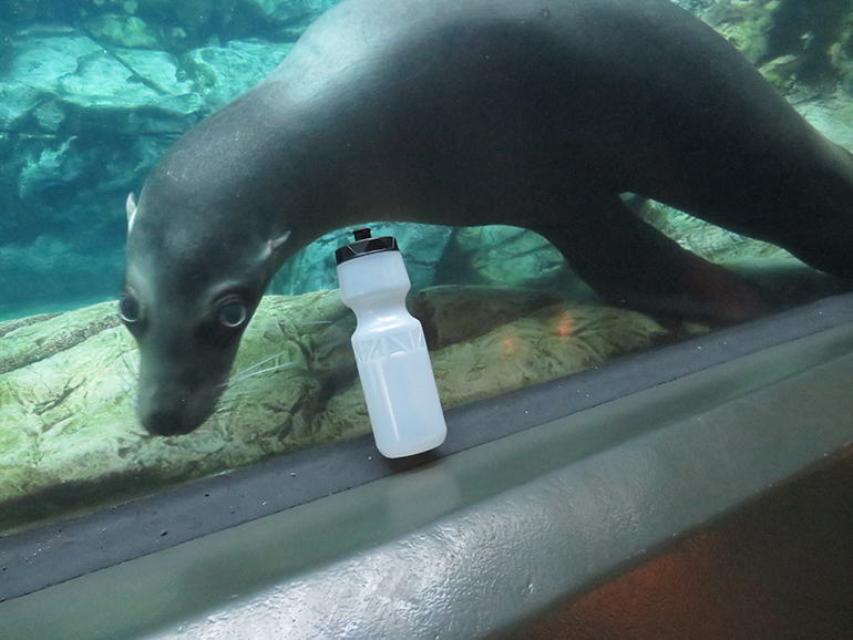 Harpo with a water bottle underwater
