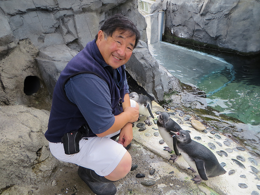Hugh and Chirping Penguin Chick