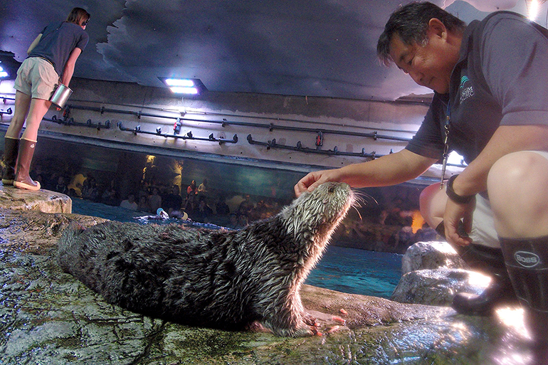 Volunteer Hugh and Charlie the otter