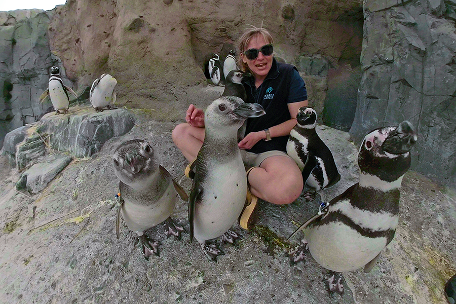Sara and the Penguins 3-31-19
