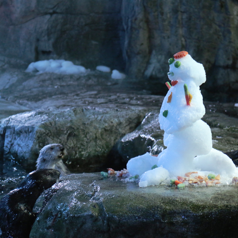 Snowman on a rock with two otters in the water below