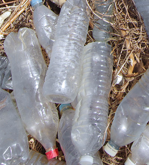 single-use plastic bottles