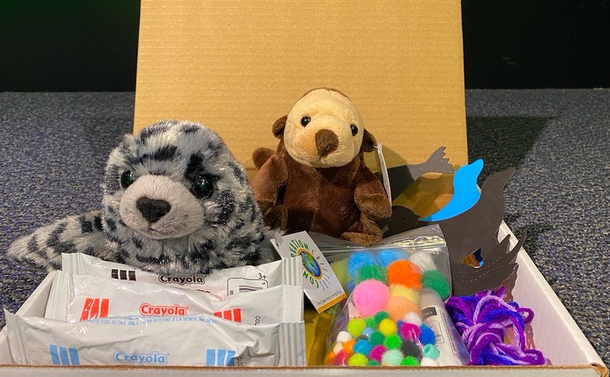 Cardboard box with contents of kit which include: seal and otter plushies and various craft supplies