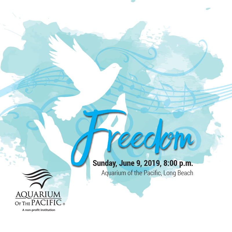 Freedom concert graphic blue background with white silhouettes of two hands releasing a dove