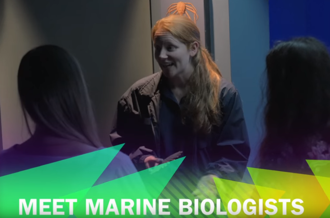 Meet A Marine Biologist