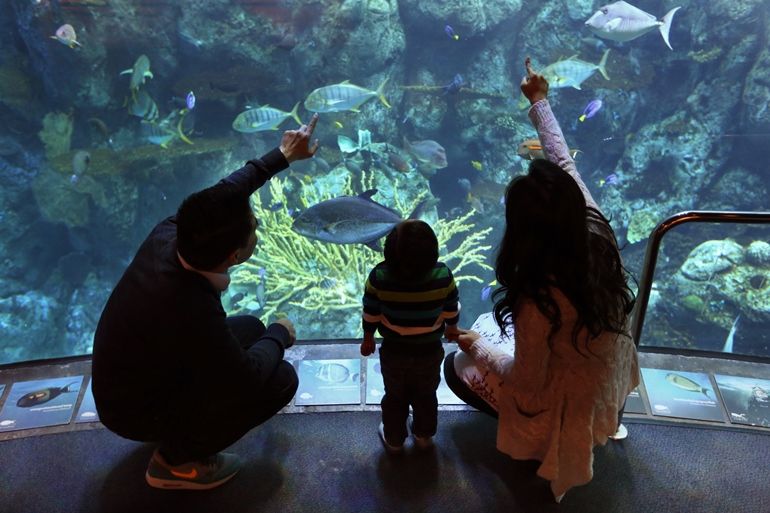 7 Things to Do at the Aquarium This Spring