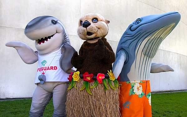 Shark, Otter, and Blue Whale Aquarium mascots in summer attire