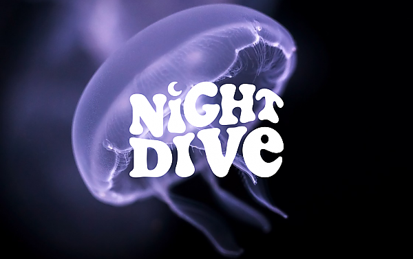Night Dive