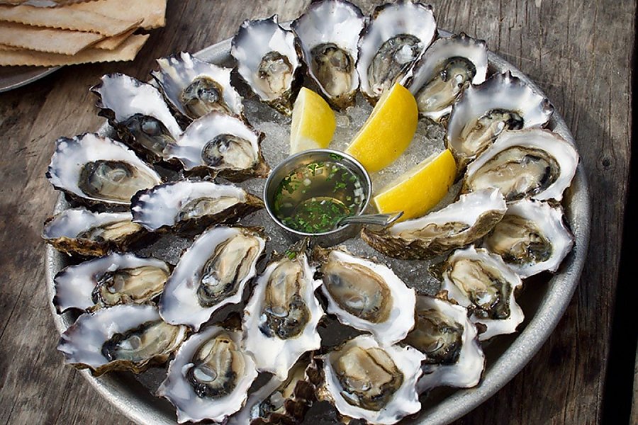 fresh oyster platter