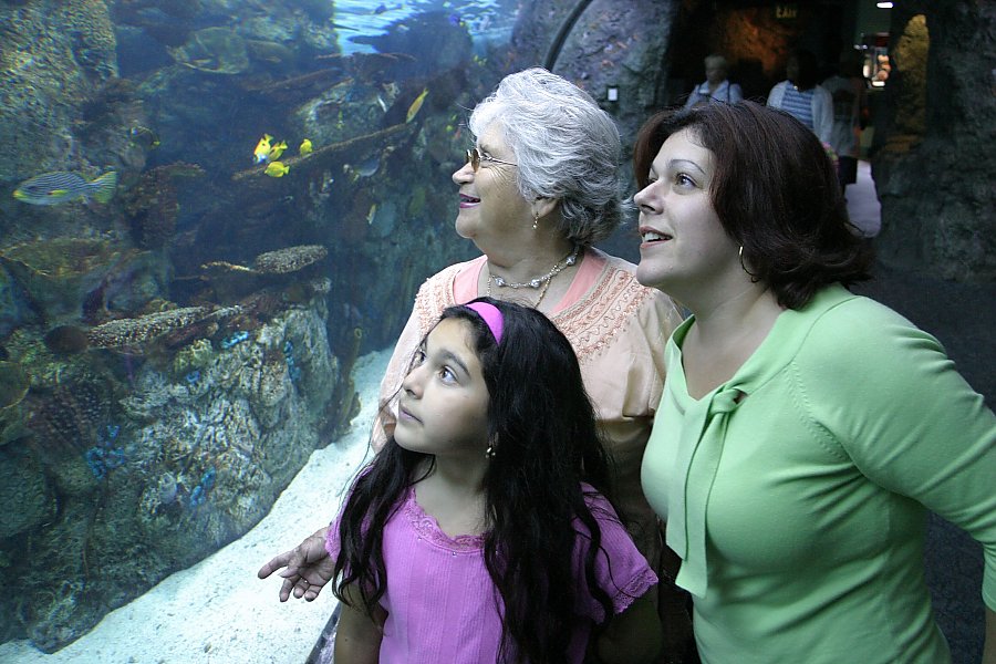 Two women and child looking at fish