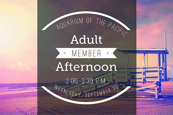 Adult member afternoon invitation