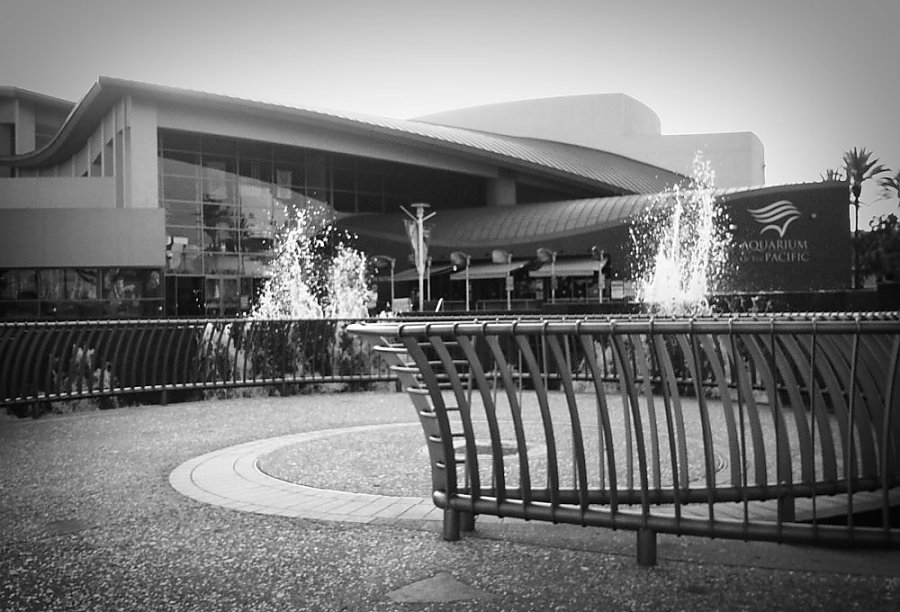 Aquarium exterior by fountain in black and white