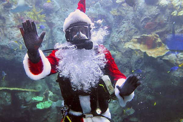 Santa Diver waves from inside an exhibit