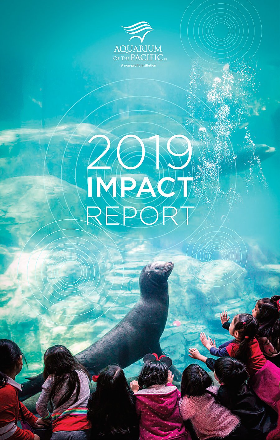 Cover of 2019 Impact Report showing kids looking at a sea lion