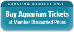 Purchase Tickets with your Member Discount Here