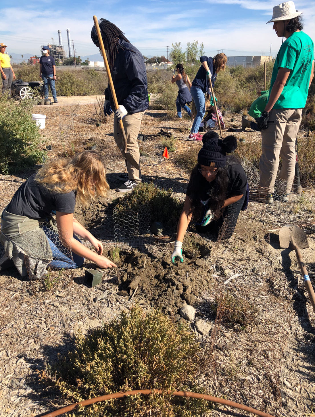 Volunteers from the Outreach program working together to restore the wetlands.