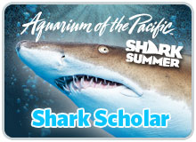 Shark Student