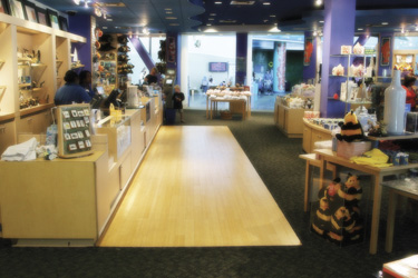 Pacific Collections Interior