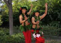 Festival del Isleño Pacifico