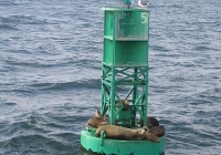 Member Harbor Cruise