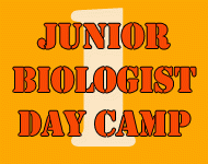 Junior Biologist Day Camp 1