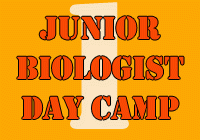 Junior Biologist Day Camp 1