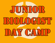 Junior Biologist Day Camp 2