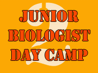 Junior Biologist Day Camp 2