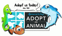 Adopt an Animal