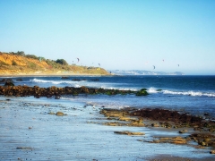Poetry Contest Celebrates Southern California Urban Ocean in Words