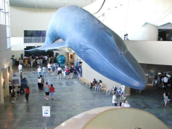 Teacher Family Day