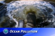 Ocean Pollution