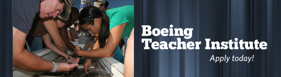 Boeing Banner