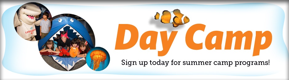 Day Camp Banner