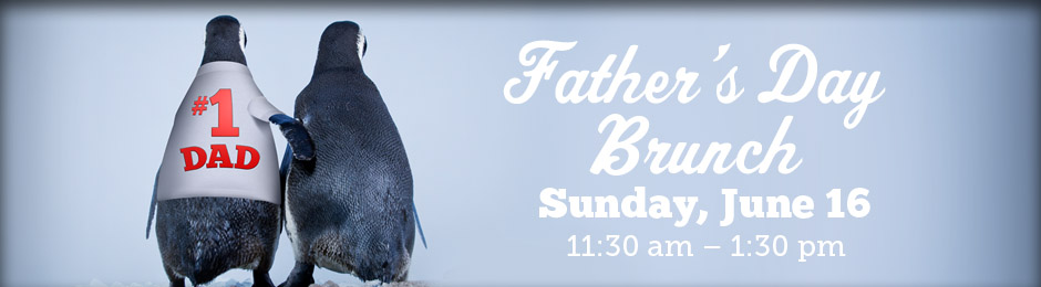 FathersDayBanner2013