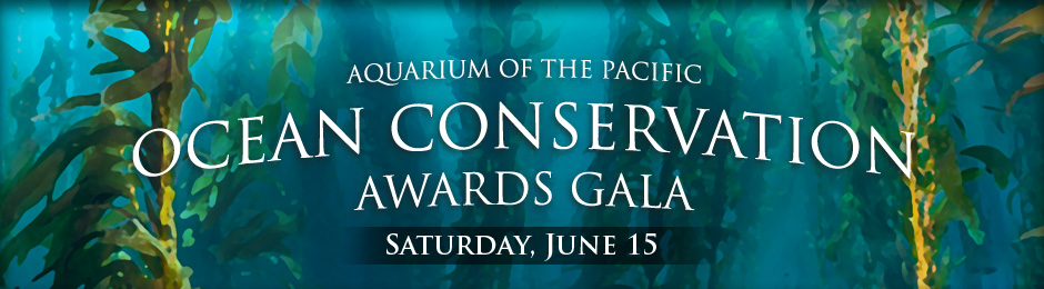 Gala web banner