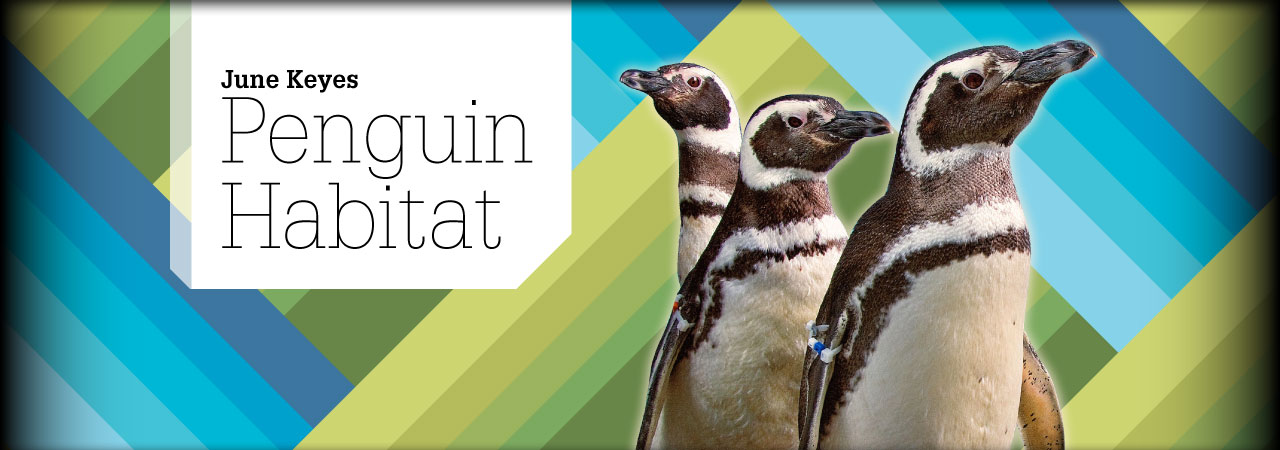 June Keyes Penguin Habitat