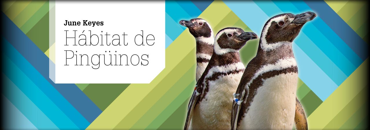 Hábitat de Pingüinos June Keyes