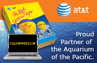 AT&T Yellow Pages