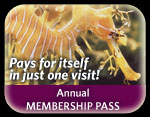 Membership - Media Slot