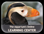 Online Learning Center Online Learning Center