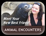 Animal Encounters