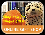 Gift Shop Media Slot