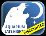 Media Slot - Late nights