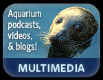 Multimedia - MediaSlot